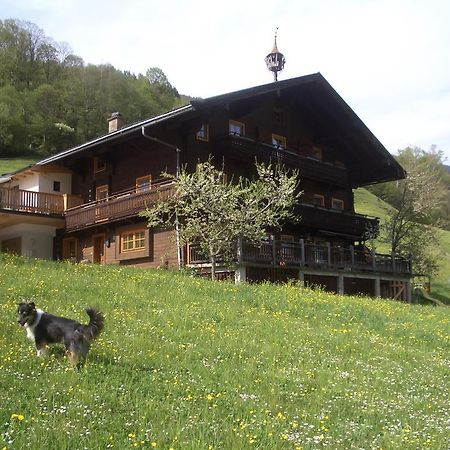 Ferienwohnung Bauernhof Obererlach Bramberg am Wildkogel Dış mekan fotoğraf