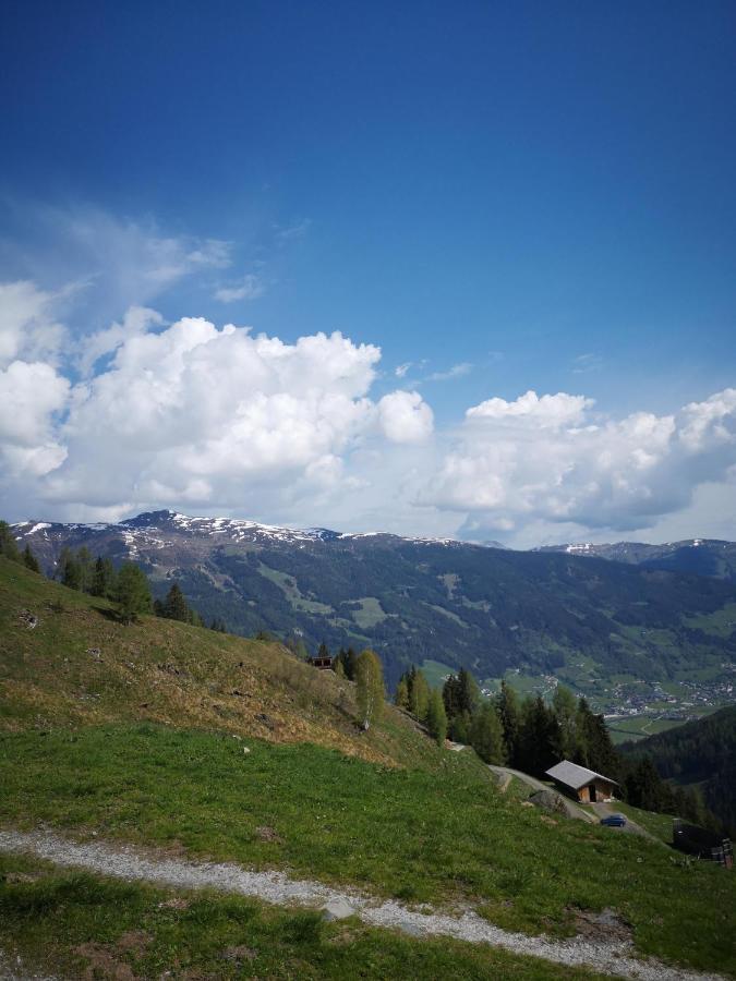 Ferienwohnung Bauernhof Obererlach Bramberg am Wildkogel Dış mekan fotoğraf