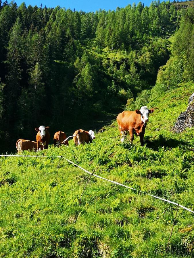 Ferienwohnung Bauernhof Obererlach Bramberg am Wildkogel Dış mekan fotoğraf
