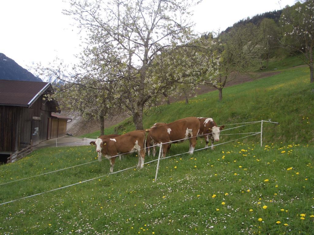 Ferienwohnung Bauernhof Obererlach Bramberg am Wildkogel Dış mekan fotoğraf