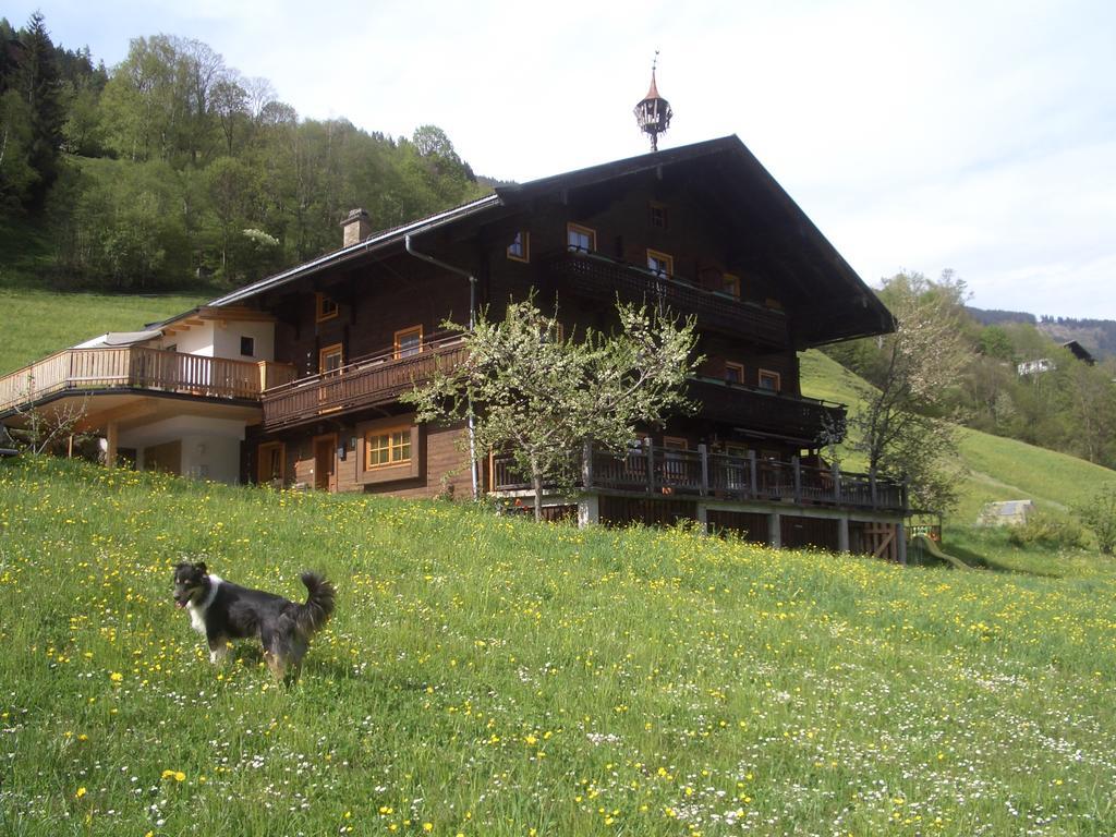 Ferienwohnung Bauernhof Obererlach Bramberg am Wildkogel Dış mekan fotoğraf