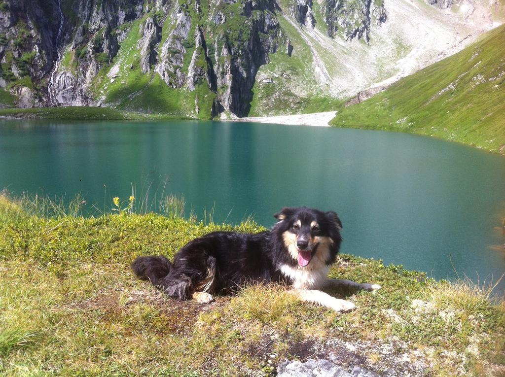 Ferienwohnung Bauernhof Obererlach Bramberg am Wildkogel Dış mekan fotoğraf