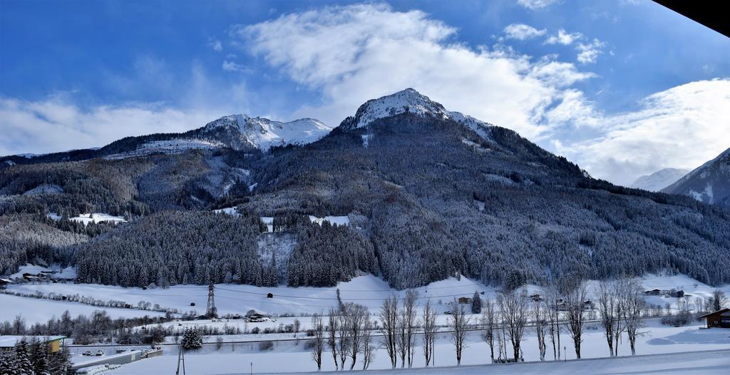 Ferienwohnung Bauernhof Obererlach Bramberg am Wildkogel Dış mekan fotoğraf