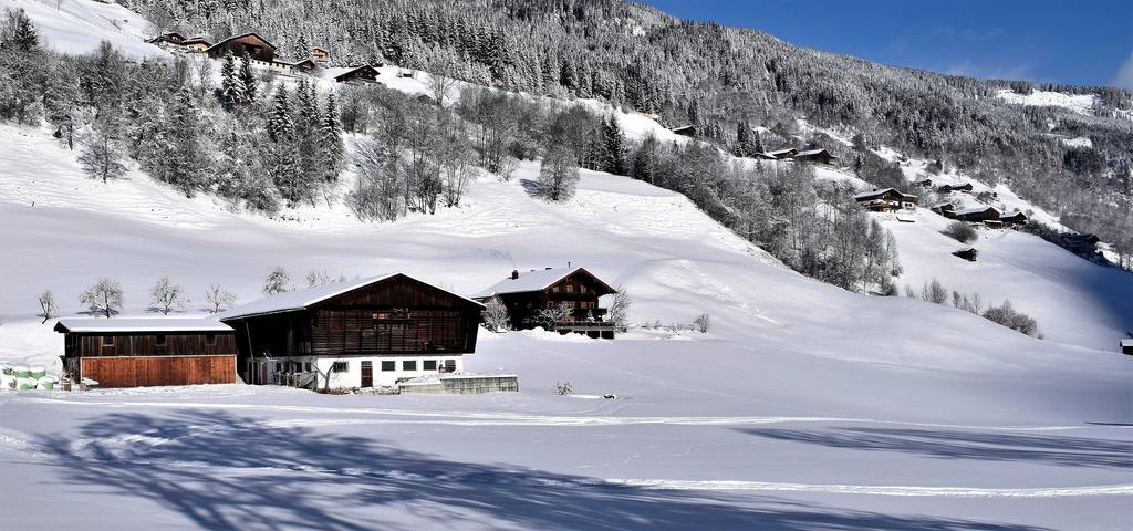 Ferienwohnung Bauernhof Obererlach Bramberg am Wildkogel Dış mekan fotoğraf
